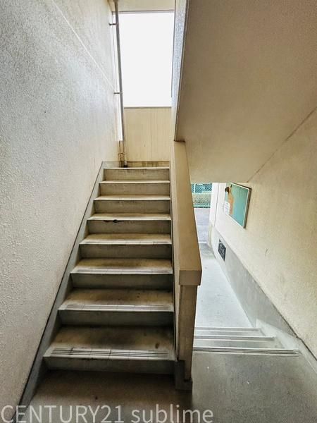 �y���̑����L�����z�@