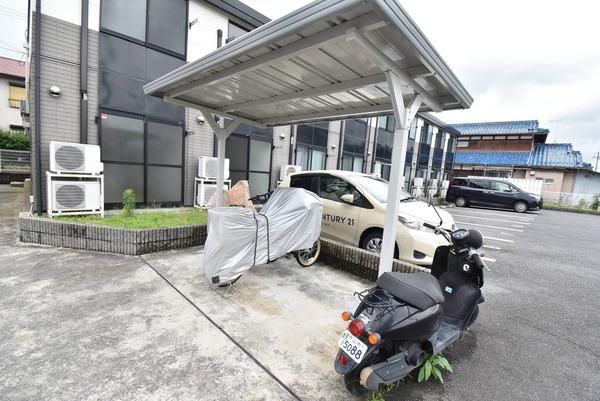 �y���̑����L�����z�@