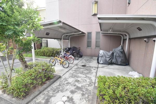 �y���̑����L�����z�@