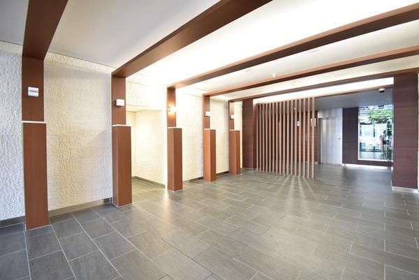 �y���̑����L�����z�@