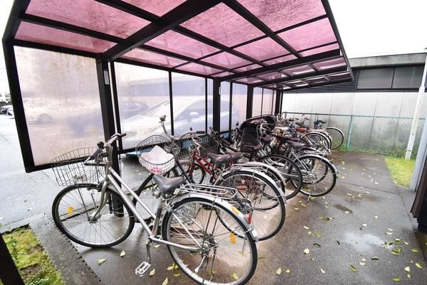 �y���̑����L�����z�@