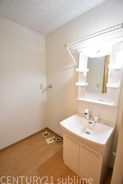 �y���ʏ��z�@