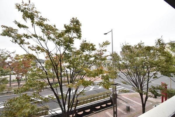 �y���]�z�@