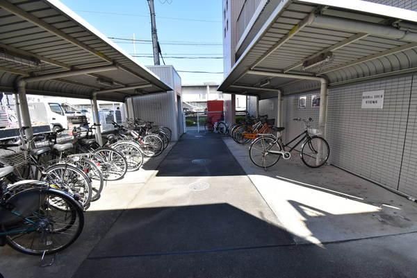 �y���̑����L�����z�@