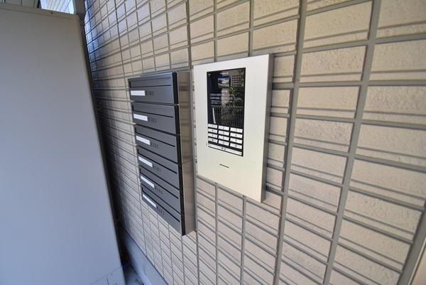 �y���̑����L�����z�@