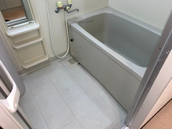 �y�o�X�z�@