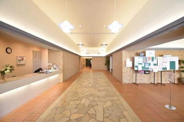 �y���̑����L�����z�@