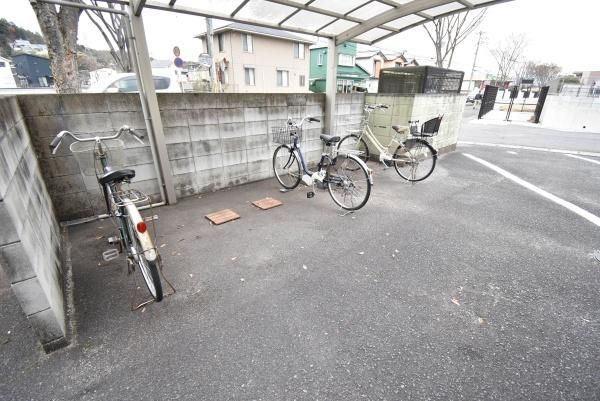 �y���̑����L�����z�@