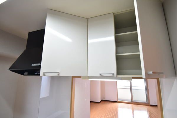 �y���[�z�@���d�l�ʐ^