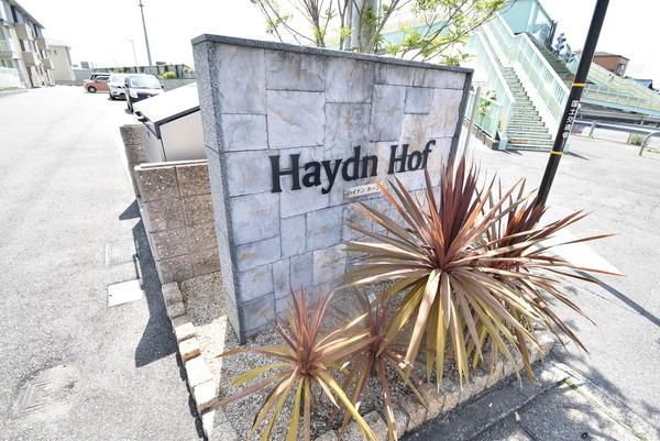 �y���̑����L�����z�@