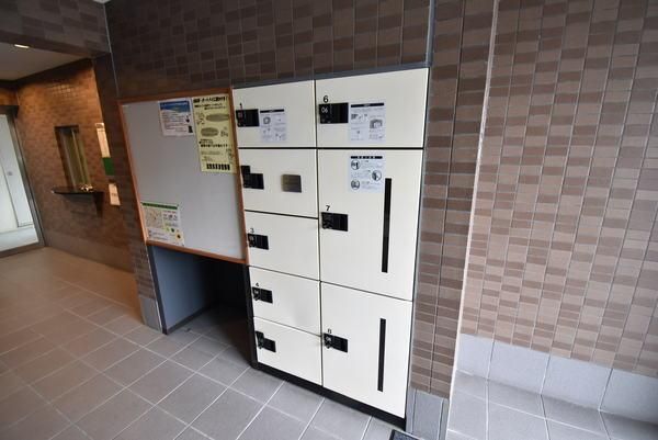 �y���̑����L�����z�@