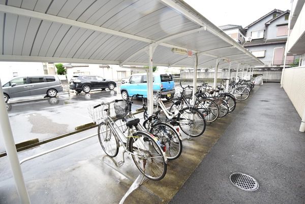 �y���̑����L�����z�@