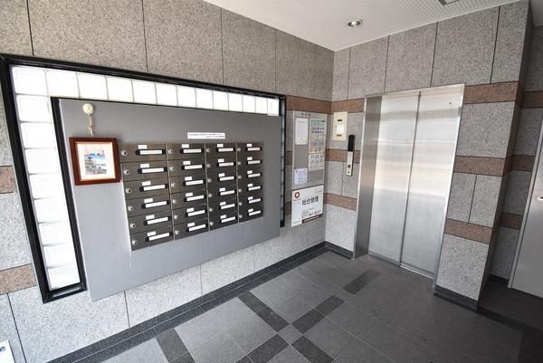 �y���̑����L�����z�@