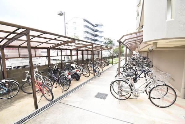 �y���̑����L�����z�@