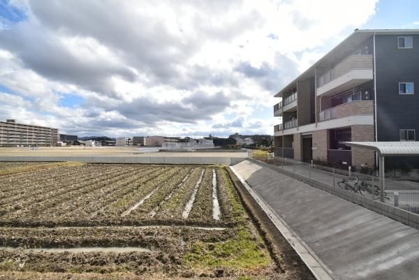 �y���]�z�@