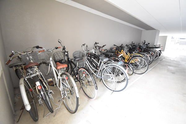 �y���̑����L�����z�@