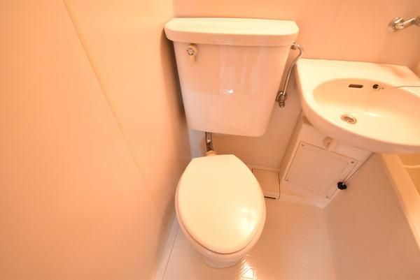 �y�g�C���z�@