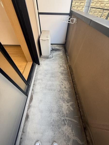 �y�o���R�j�[�z�@