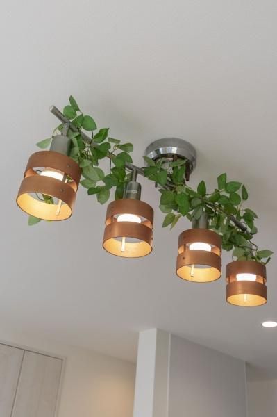 �y���̑��ݔ��z�@