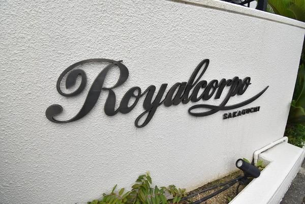 �y���̑����L�����z�@