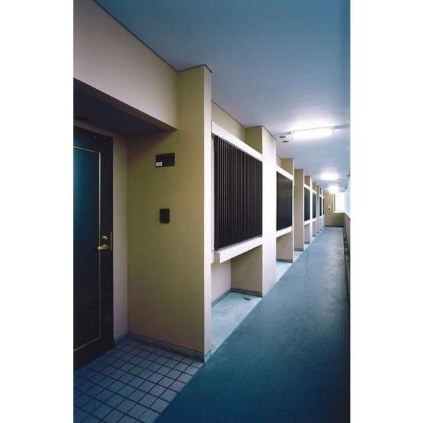 �y���̑��z�@