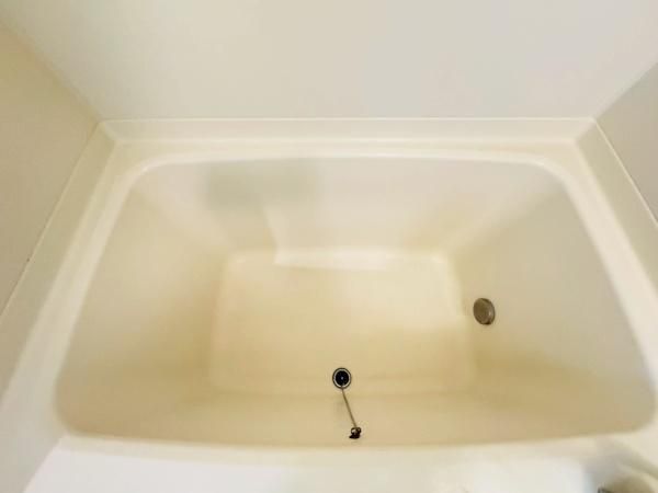 �y�o�X�z�@