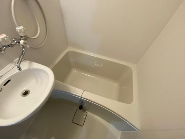 �y�o�X�z�@