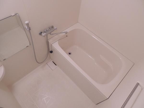 �y�o�X�z�@���d�l�ʐ^