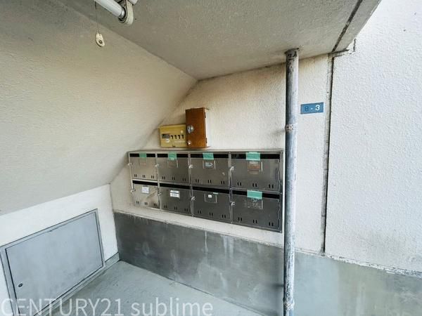 �y���̑����L�����z�@