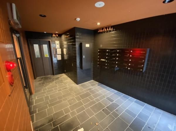 �y���̑����L�����z�@