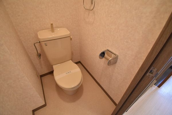 �y�g�C���z�@�������ʎ�