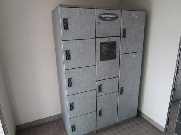�y���̑����L�����z�@