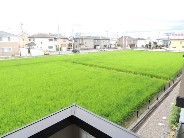 �y���]�z�@�������ʎ�