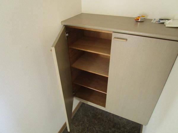 �y���[�z�@�������ʎ�