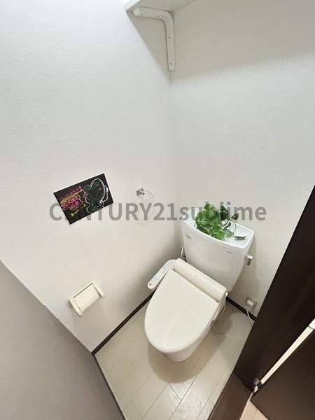 �y�g�C���z�@
