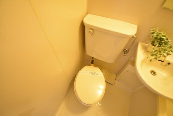 �y�g�C���z�@���������ʎ���