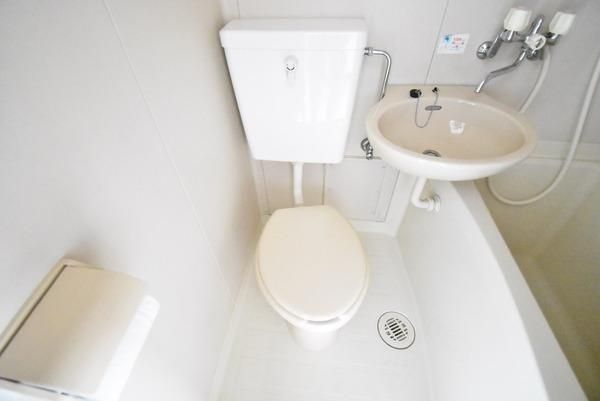 �y�g�C���z�@