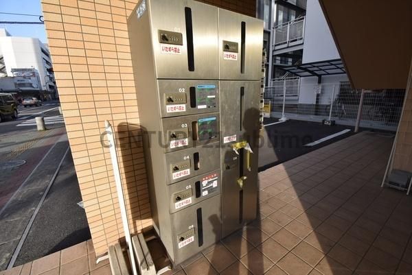 �y���̑����L�����z�@