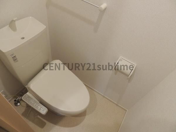 �y�g�C���z�@