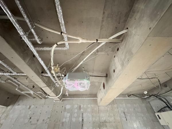 �y���̑����L�����z�@